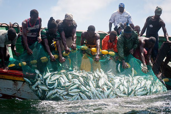 Representant 83% des débarquements en 2017: La pêche artisanale pourvoie 400 000 emplois