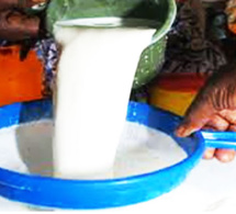 SENEGAL-ELEVAGE - Autosuffisance en lait : les acteurs invités à changer de "paradigme" 