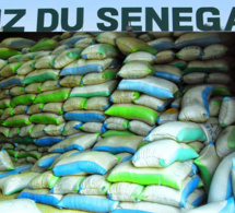 SENEGAL-AGRICULTURE