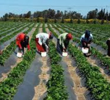 Agriculture et Agrobusiness