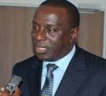 Sénégal Elections Législatives Cheikh Tidiane Gadio: « Je n'ai pas reçu ma carte d'identité biométrique »