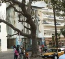 Saisie de biens: La BOA restitue les 5 immeubles à la Sonacos