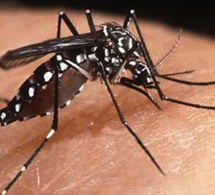 « L’épidémie de Dengue est maîtrisée »