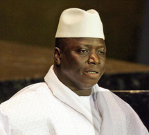 Gambie: Les troupeaux de Yahya Jammeh vendus aux enchères
