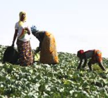 Sénégal : lancement d’un projet pour améliorer l’accès des femmes au foncier