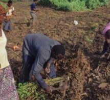 Sénégal : un forum sur la sécurisation foncière organisé à Darou Khoudoss