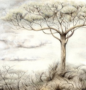 Journée de la laïcité 2012: par delà laïcité et tolérance?