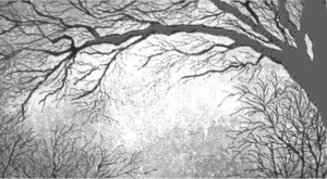 Les enfants des ténèbres Les enfants des ténèbres