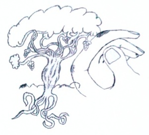 EDITO: Le guetteur du lac et le Mag de Stanislas