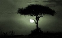 Voyant Médium Voyance et Spiritisme à Brive