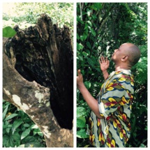 Voyant marabout retour de l'être aimé Voyant marabout retour de l'être aimé