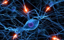 Les causes de la fibromyalgie